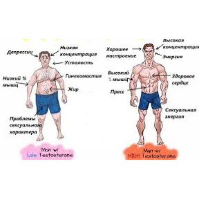 Стероиды для новичков