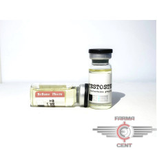 Testosteron (10ml 100mg/ml) - NoName Pharm Testosteron (10ml 100mg/ml) - NoName Pharm
