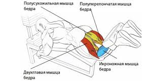 Сгибание ног в тренажере